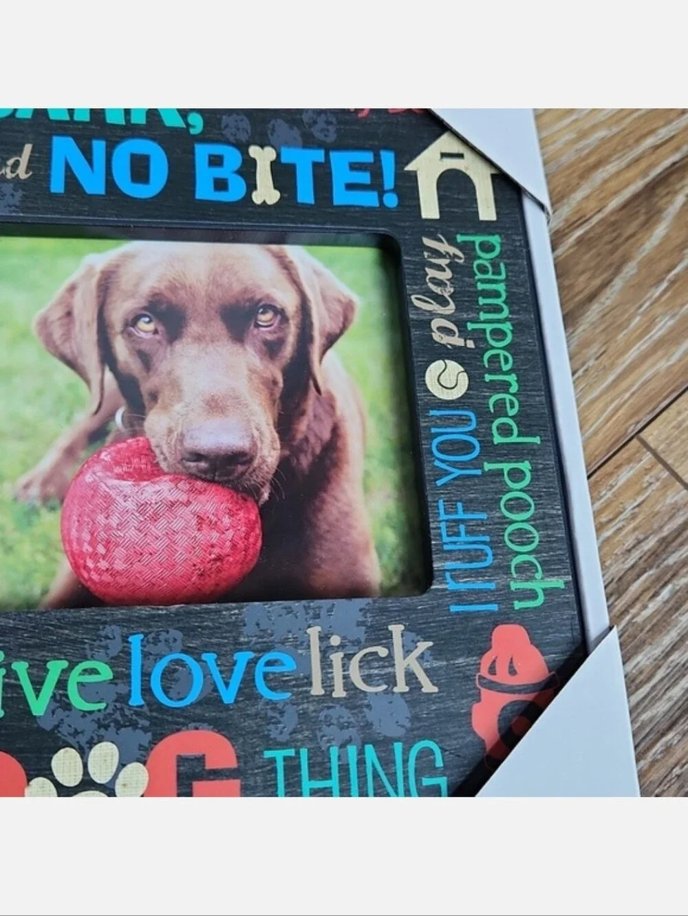 NIB Dog Photo Frame with Dog Sayings Blue Green Red Black Fire Hydrant Bone Ball